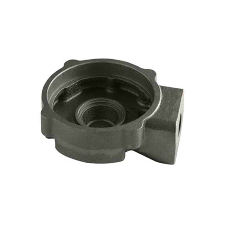 Ductile Iron Casting Bearing Housing in China Foundry