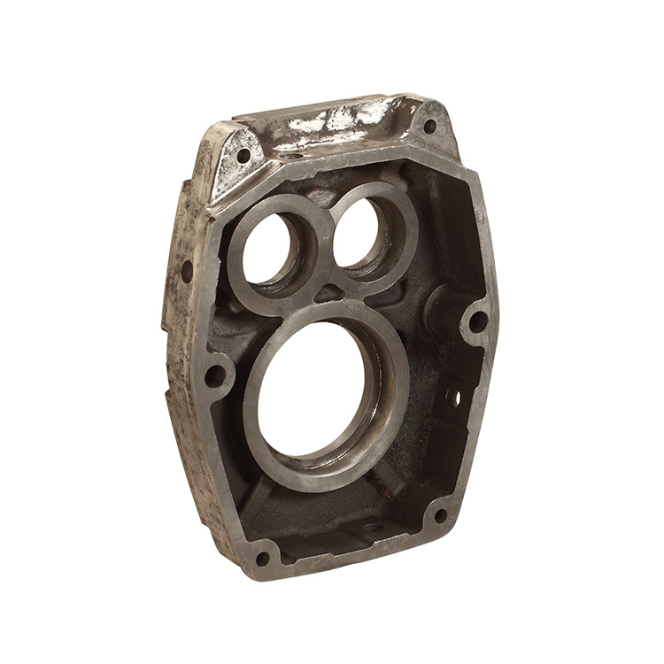 Cast Steel Pump Body Flange Casting